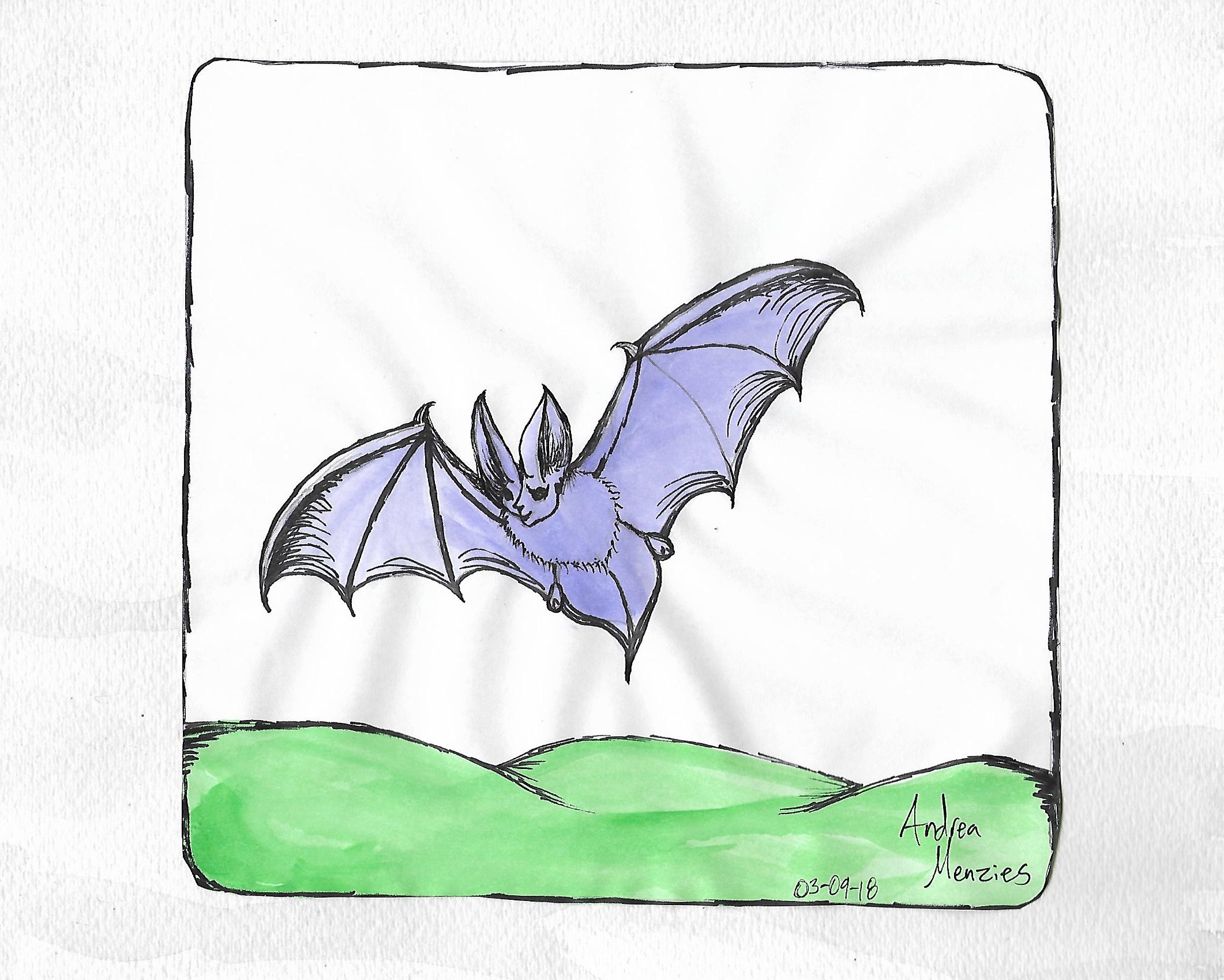 B is for Bat draft 1