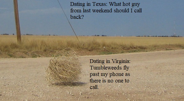 Tumbleweed_rolling_2