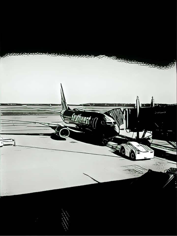 Air flight pic 1
