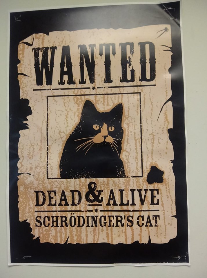 Wanted Dead or Alive joke 1