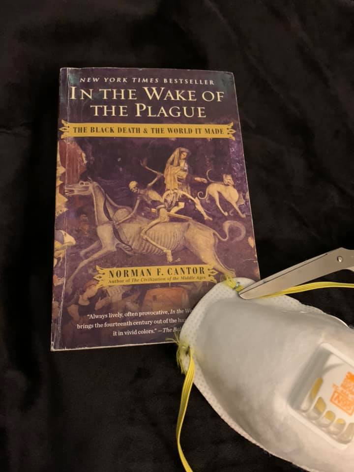 Wake of the Plauge pic 1